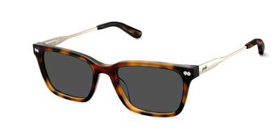 The Larkin - Mixed Material Tortoise Gold Metal Sun