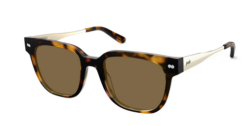 The Murphy - Mixed Material Tortoise Gold Metal Sun