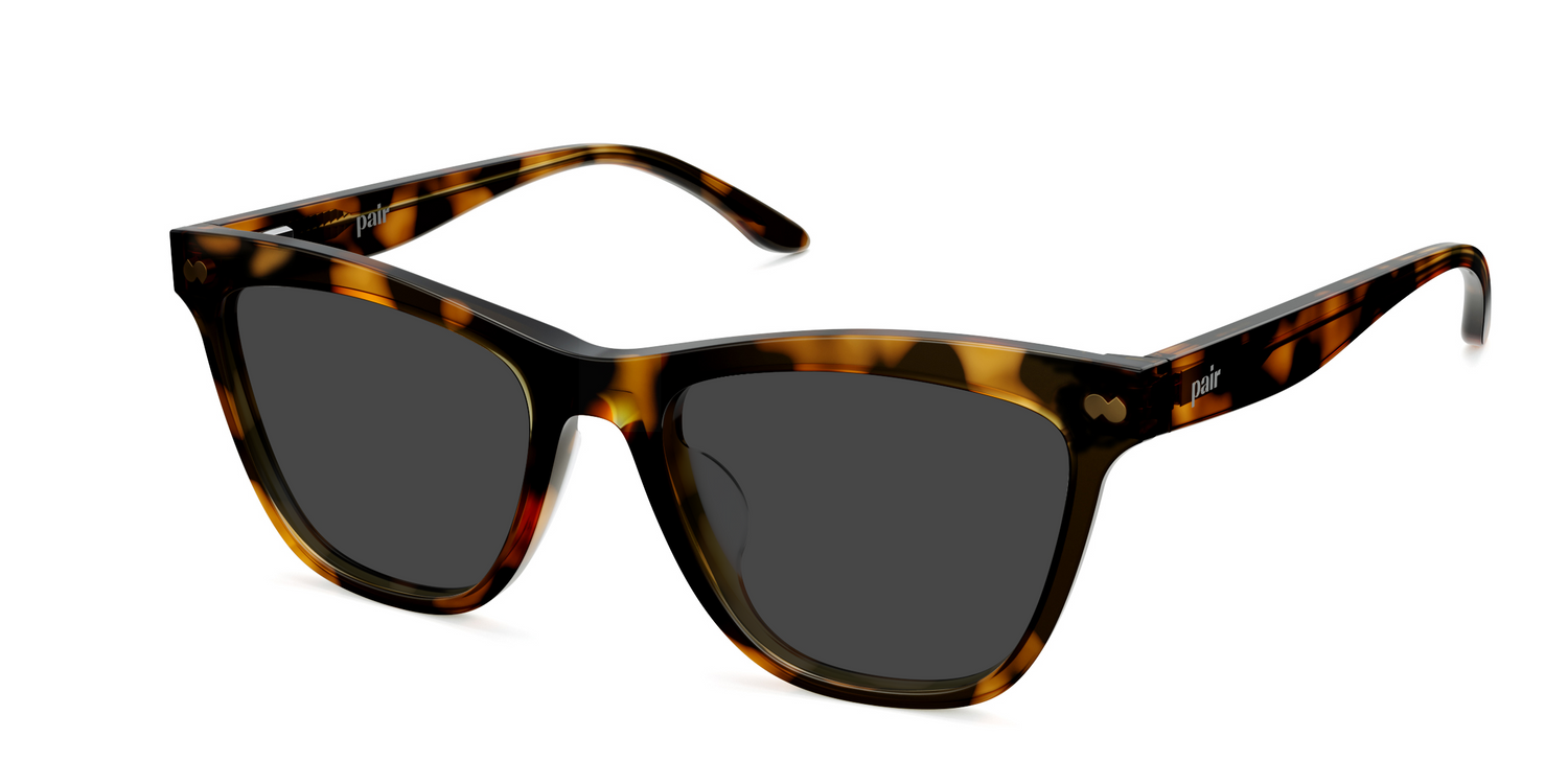 The Harper - Tortoise Sun
