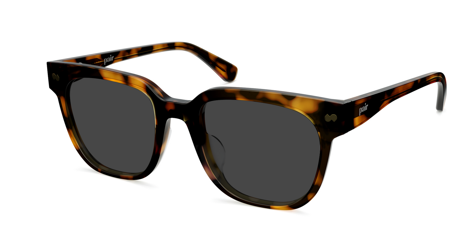 The Murphy - Tortoise Sun