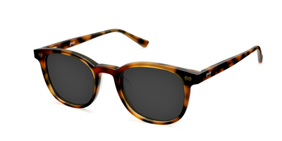 The Reese - Tortoise Sun