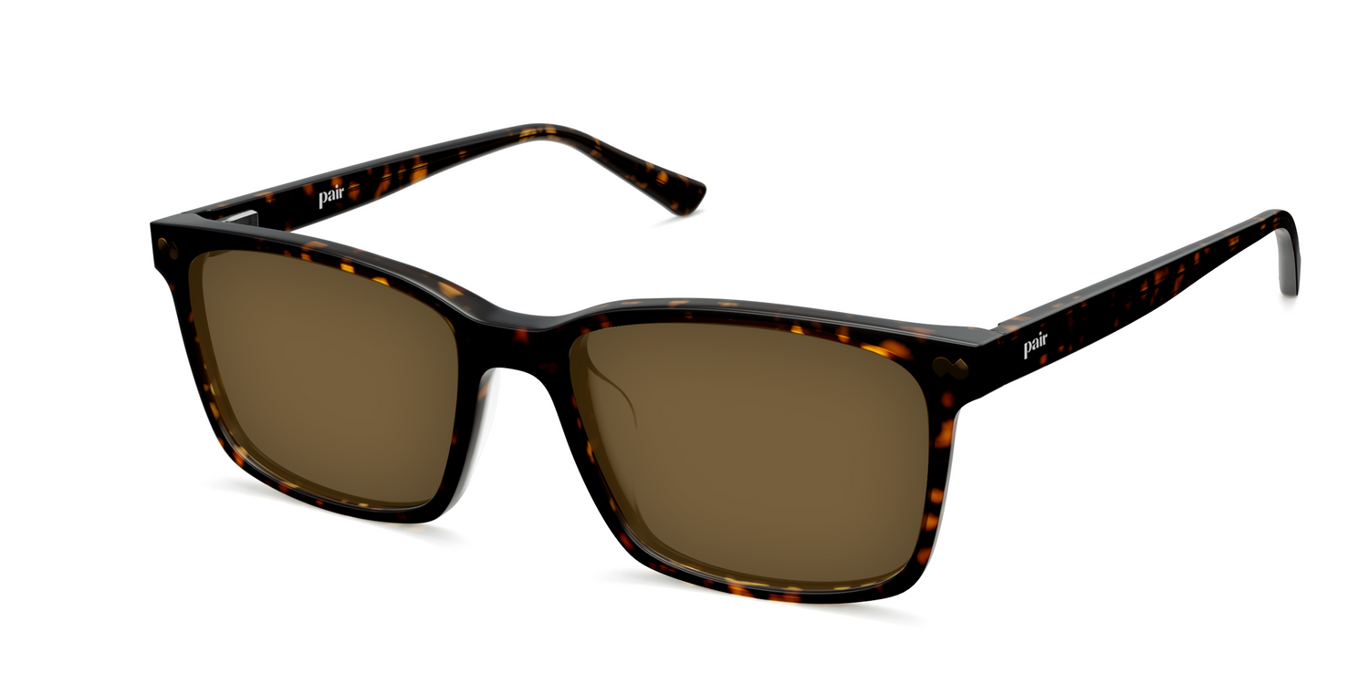 The Kirby - Tortoise Sun - Carousel4 - Pair Eyewear