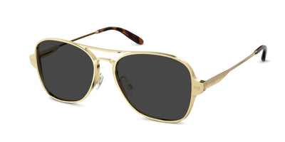 The Vic - Gold Metal Sun