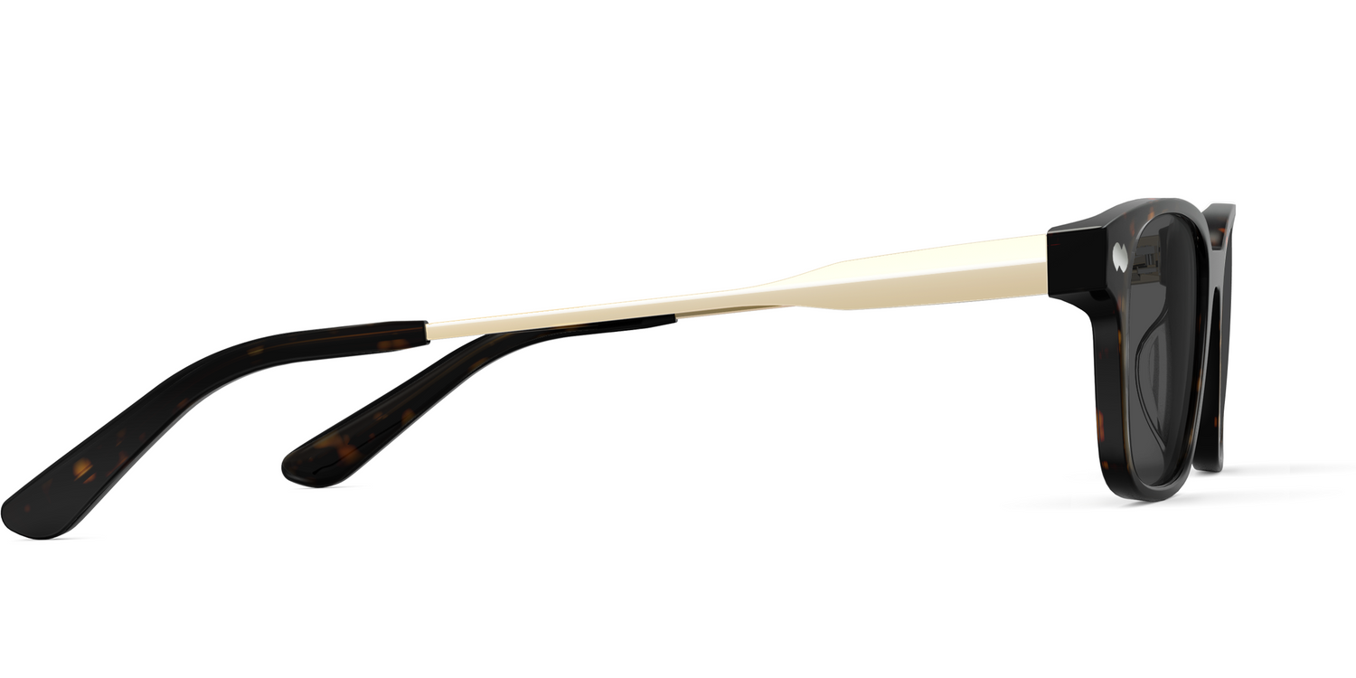 The Finley - Mixed Material Tortoise Gold Metal Sun