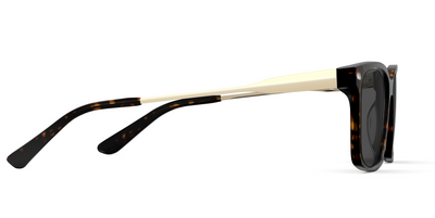 The Kirby - Mixed Material Tortoise Gold Metal Sun