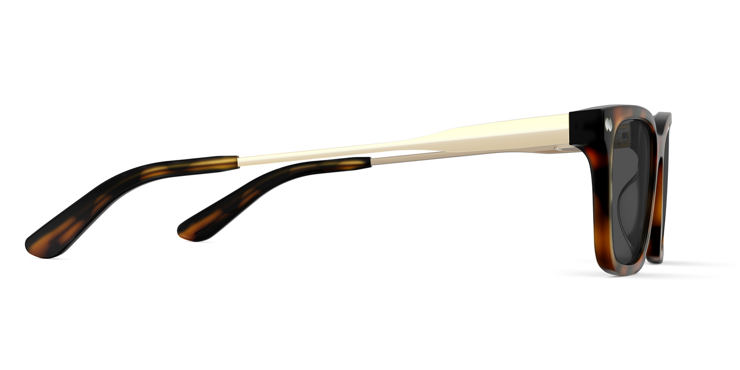 The Larkin - Mixed Material Tortoise Gold Metal Sun