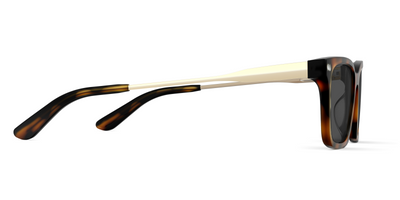 The Larkin - Mixed Material Tortoise Gold Metal Sun