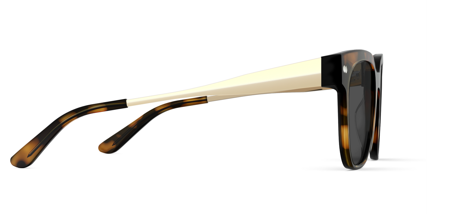 The Murphy - Mixed Material Tortoise Gold Metal Sun
