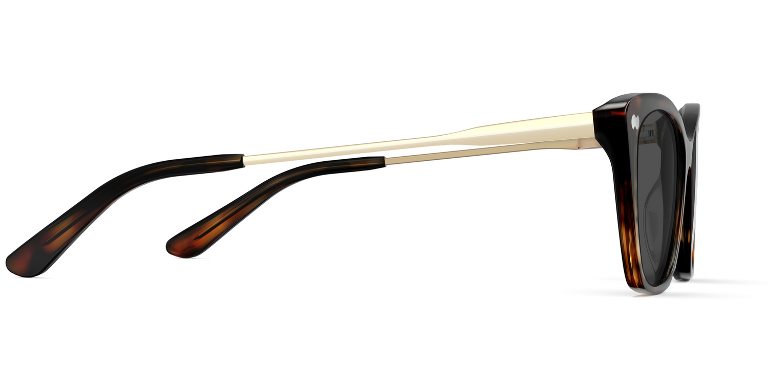 The Wanda - Mixed Material Tortoise Gold Metal Sun