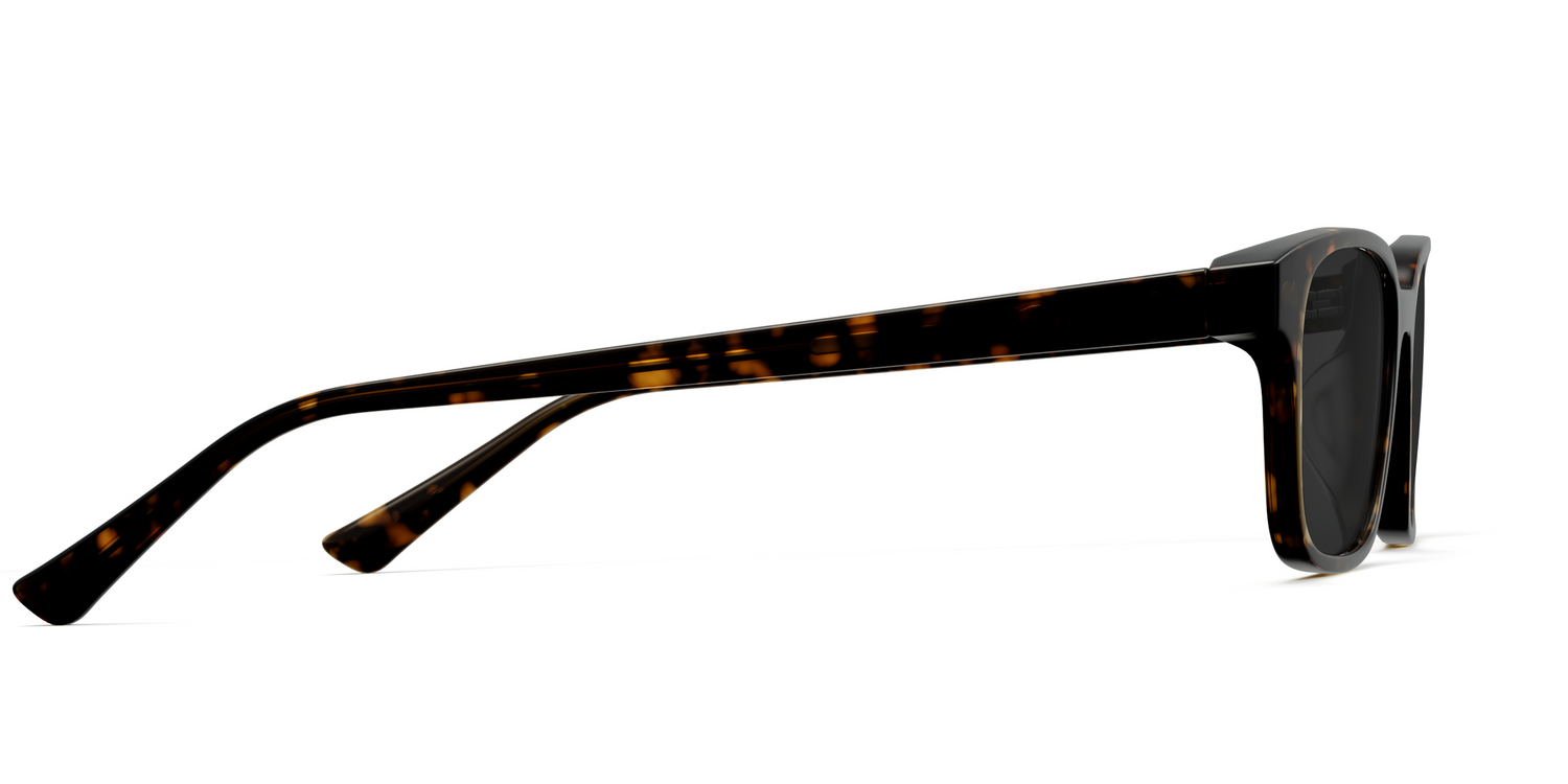 The Finley - Tortoise Sun
