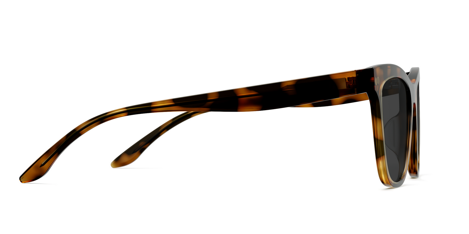 The Harper - Tortoise Sun