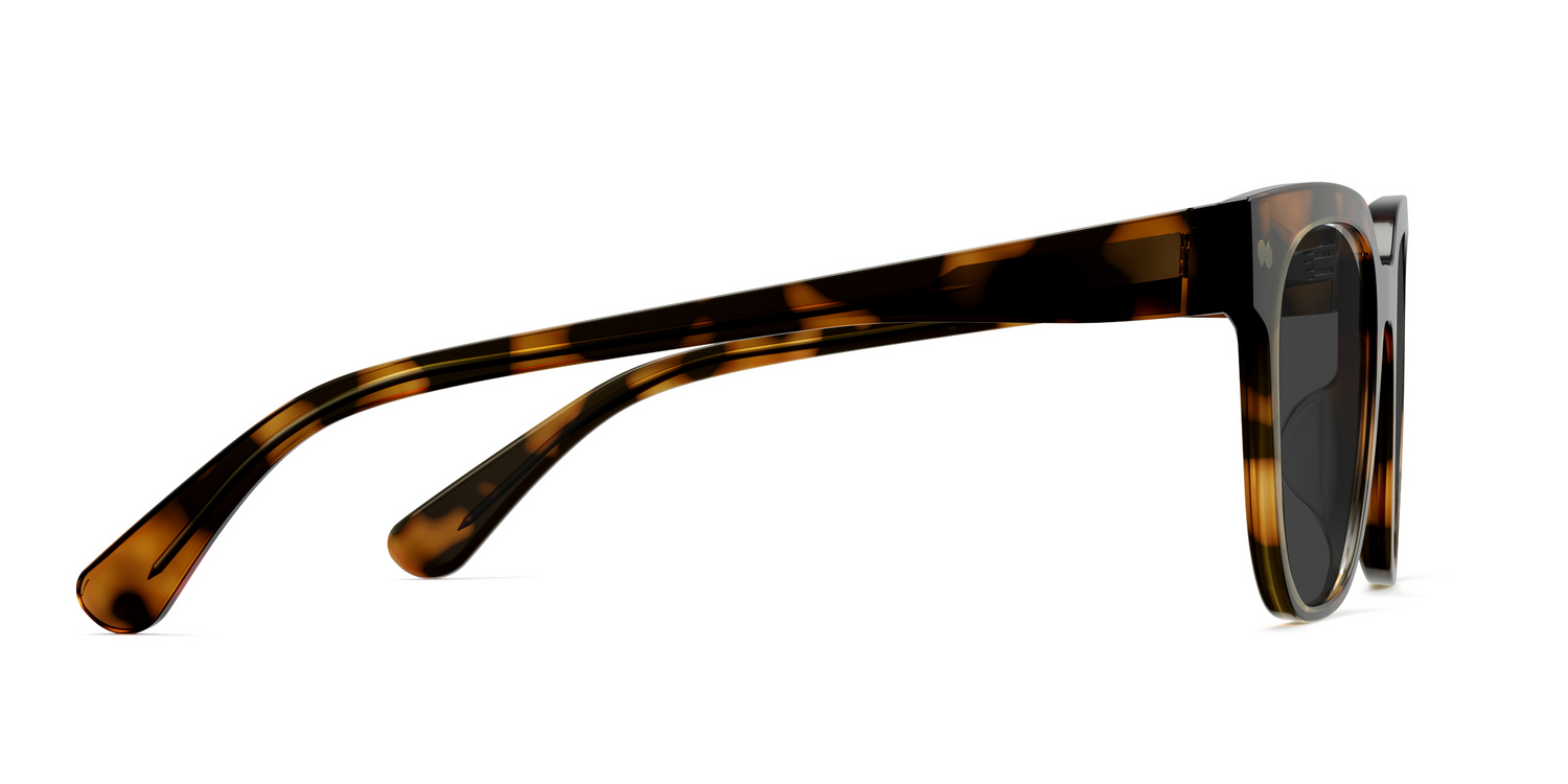 The Murphy - Tortoise Sun