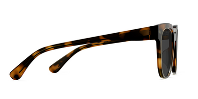 The Murphy - Tortoise Sun