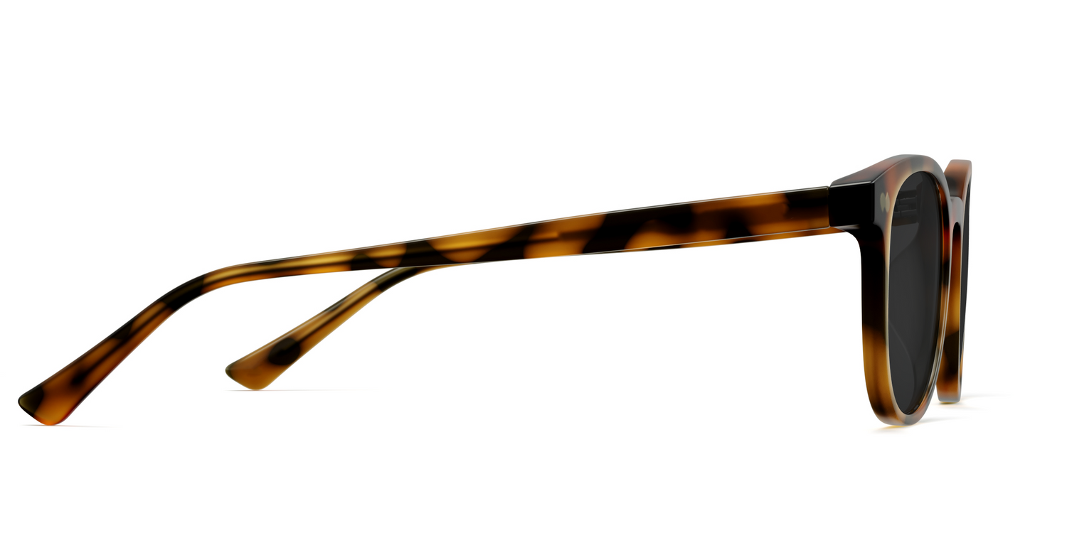 The Reese - Tortoise Sun