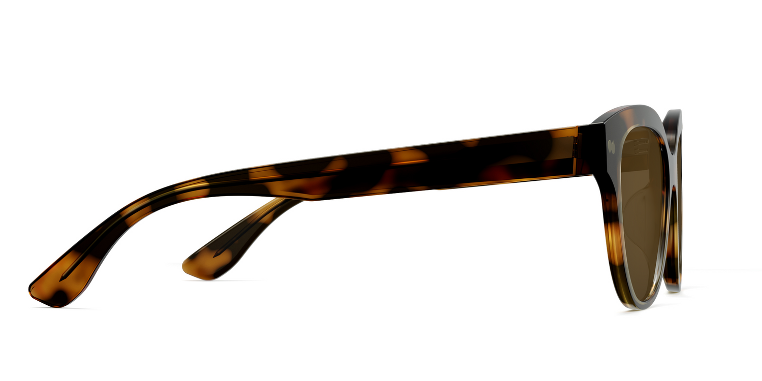 The Quinn - Tortoise Sun - Carousel6 - Pair Eyewear
