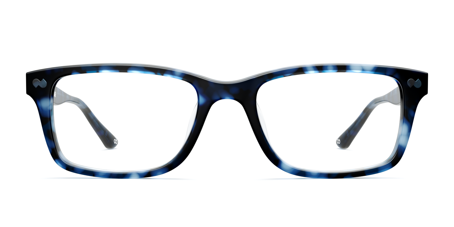 The Otero - Blue Tortoise
