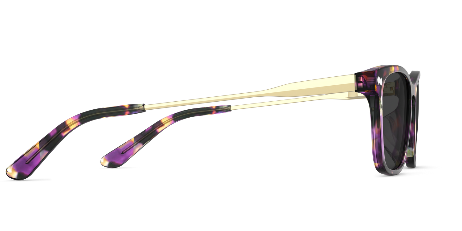 The Casper - Purple Confetti Tortoise Acetate Gold Metal Sun - Carousel5 - Pair Eyewear