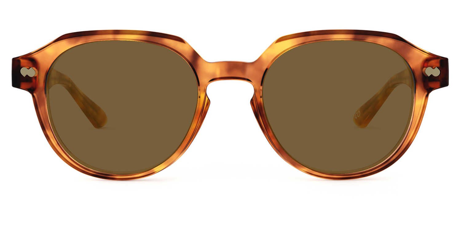 The Daley - Carousel 2 - Pair Eyewear