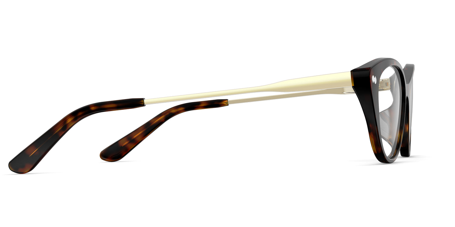 The Ella - Tortoise Acetate Gold Metal