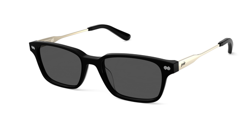 The Finley - Black Acetate Gold Metal Sun - Pair Eyewear