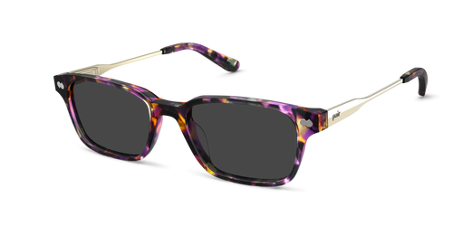The Finley - Purple Confetti Tortoise Acetate Gold Metal Sun - Pair Eyewear