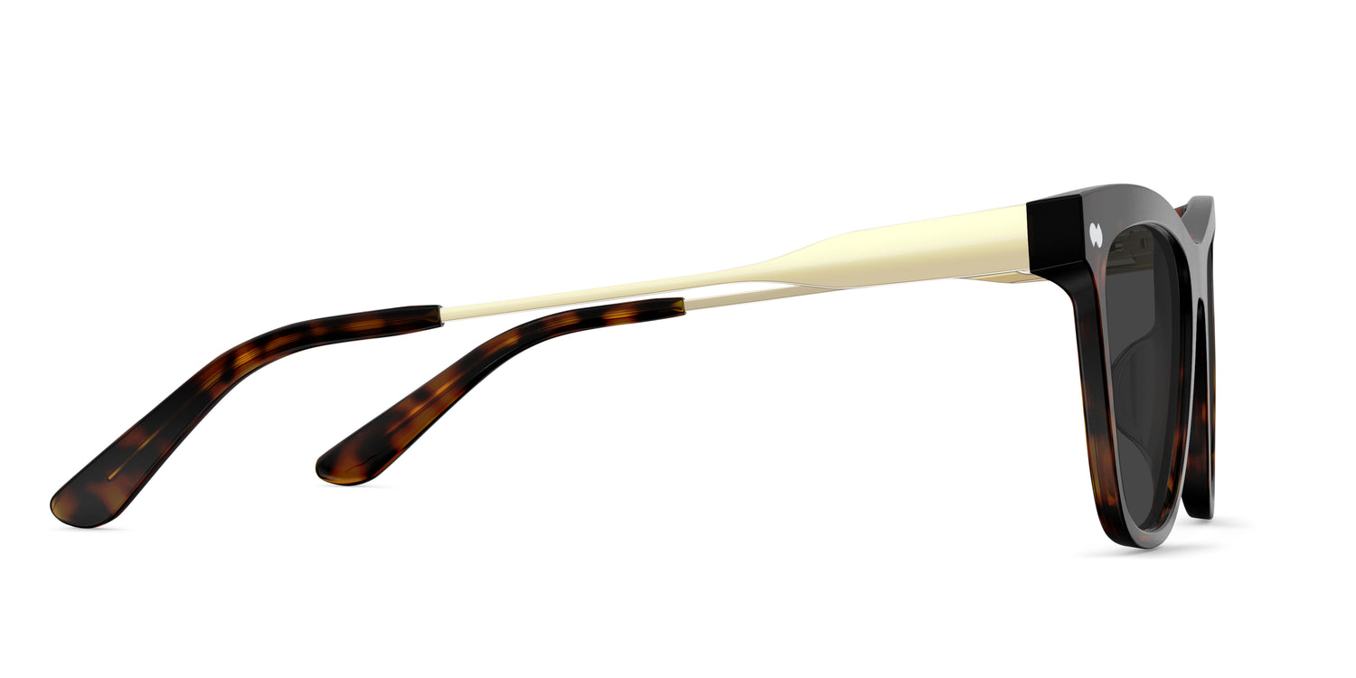 The Harper - Tortoise Acetate Gold Metal Sun
