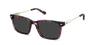 The Kirby