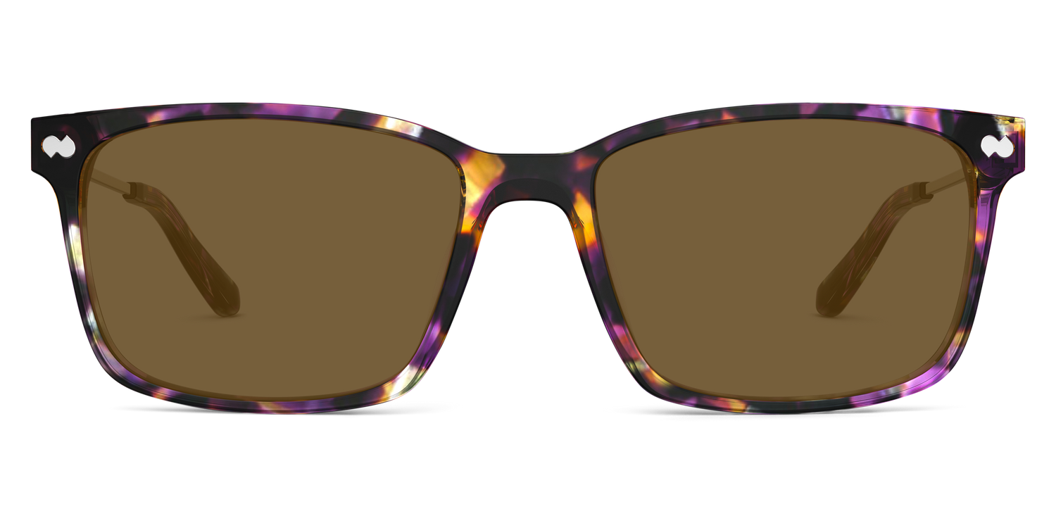 The Kirby - Purple Confetti Tortoise Acetate Gold Metal Sun - Carousel4 - Pair Eyewear