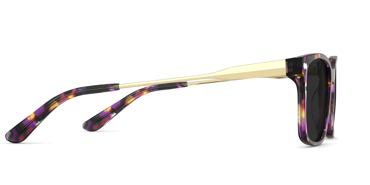 The Kirby - Purple Confetti Tortoise Acetate Gold Metal Sun - Carousel5 - Pair Eyewear