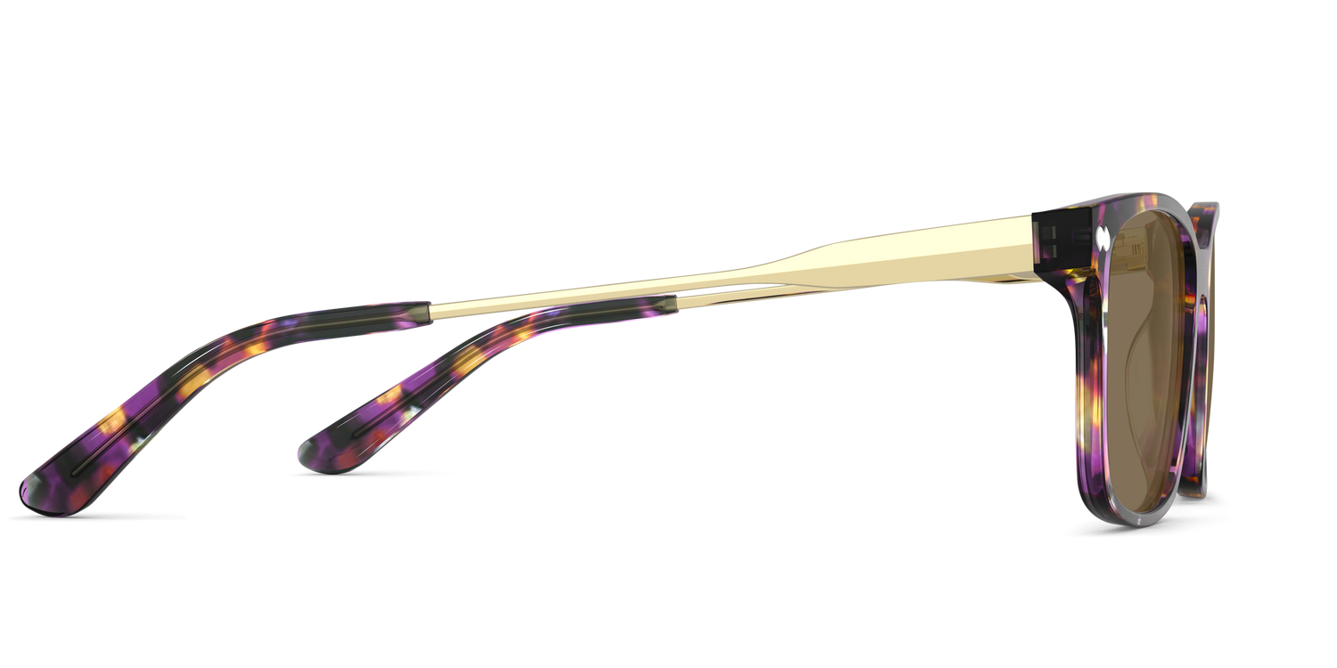 The Kirby - Purple Confetti Tortoise Acetate Gold Metal Sun - Carousel6 - Pair Eyewear