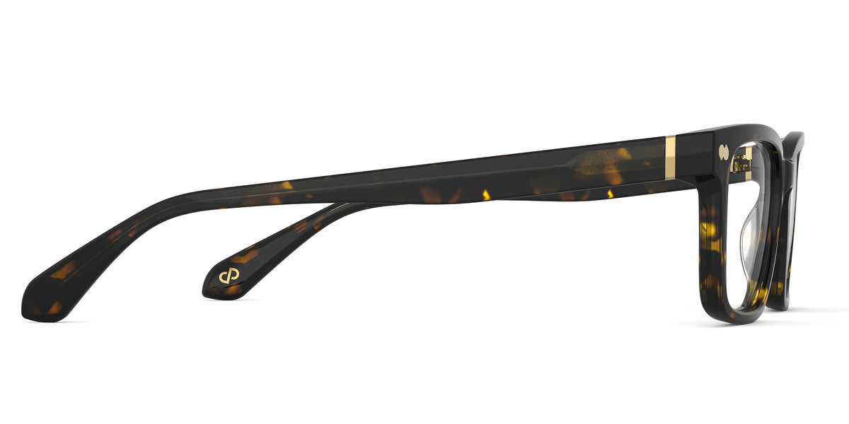 The Linden - Carousel 3 - Pair Eyewear