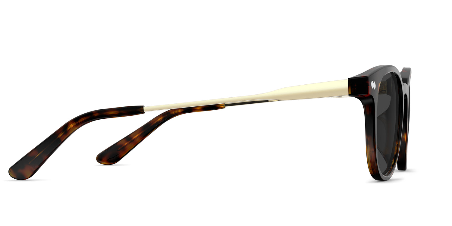 The Reese - Mixed Material - Lensless - Carousel 5 - Pair Eyewear