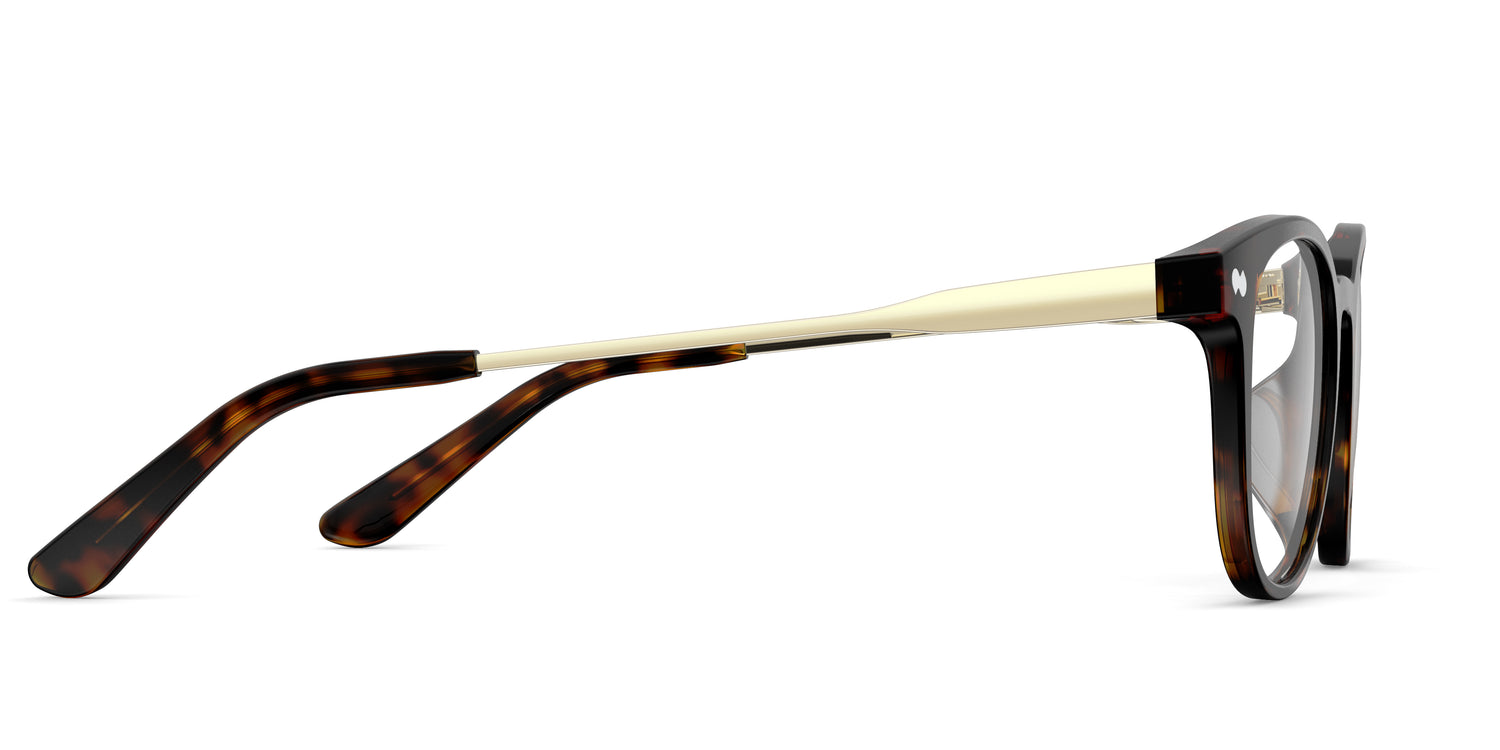 The Reese - Tortoise Acetate Gold Metal