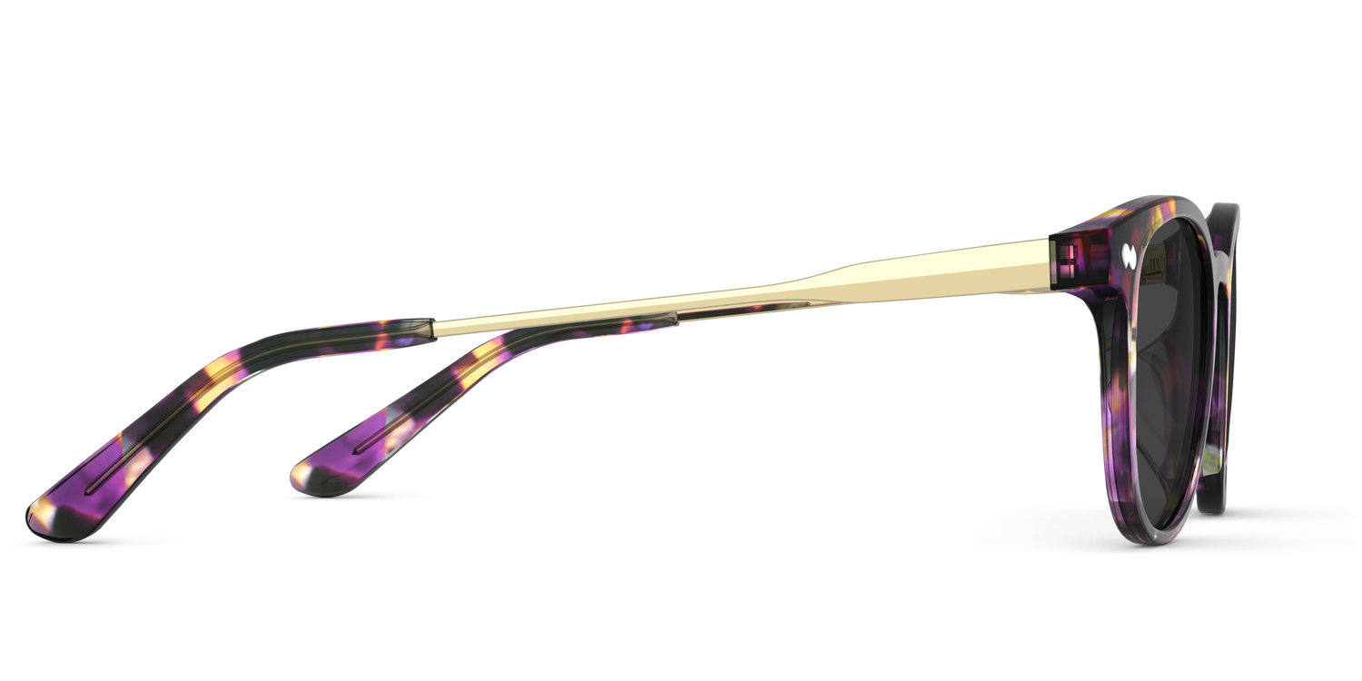 The Reese - Purple Confetti Tortoise Acetate Gold Metal Sun - Carousel5 - Pair Eyewear