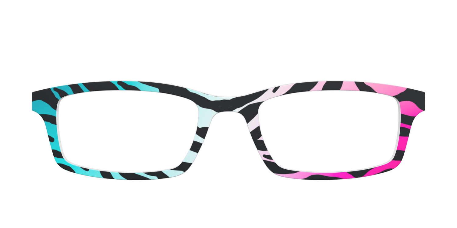 The Rainbow Zebra
