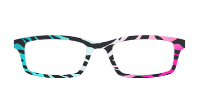The Rainbow Zebra