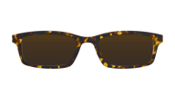 The Polarized Tortoise Sun Top