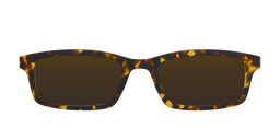 The Polarized Tortoise Sun Top - image 1