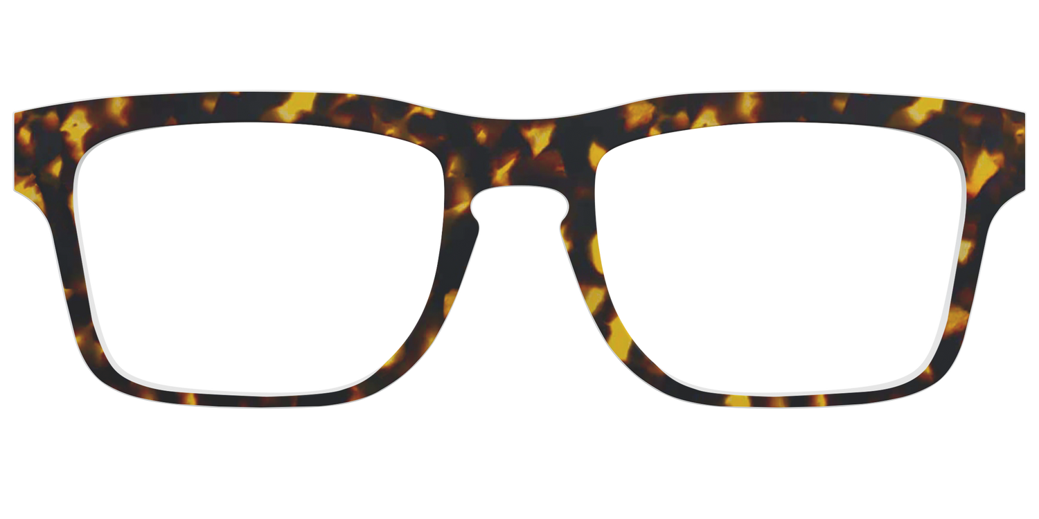 The Tortoise
