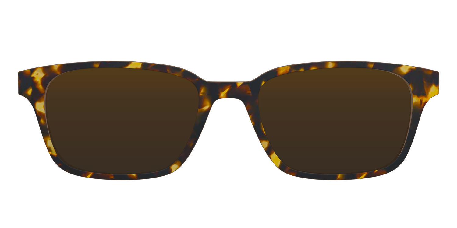 The Polarized Tortoise Sun Top