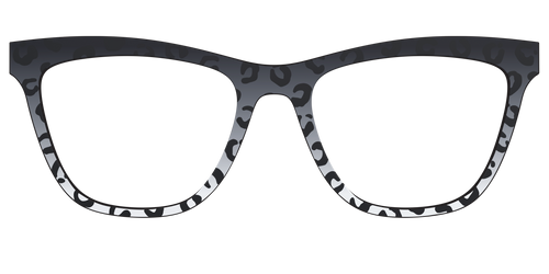 The Black Cheetah