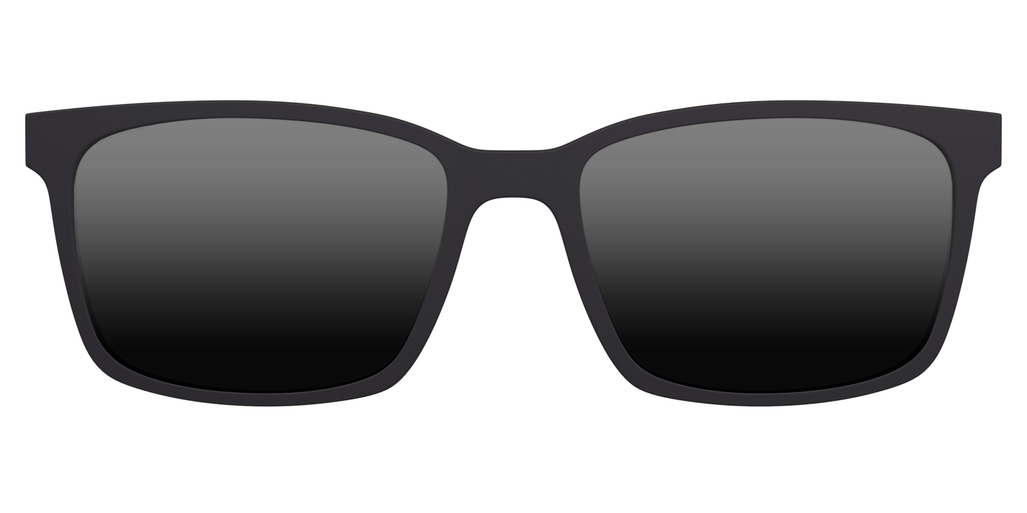 The Polarized Black Sun Top
