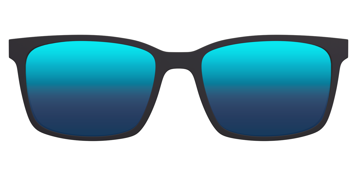 The Polarized Blue Reflective Sun Top