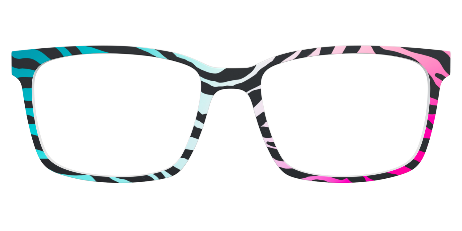 The Rainbow Zebra