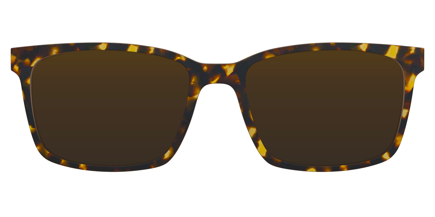 The Polarized Tortoise Sun Top - Clip-on Sunglasses by Pair Eyewear