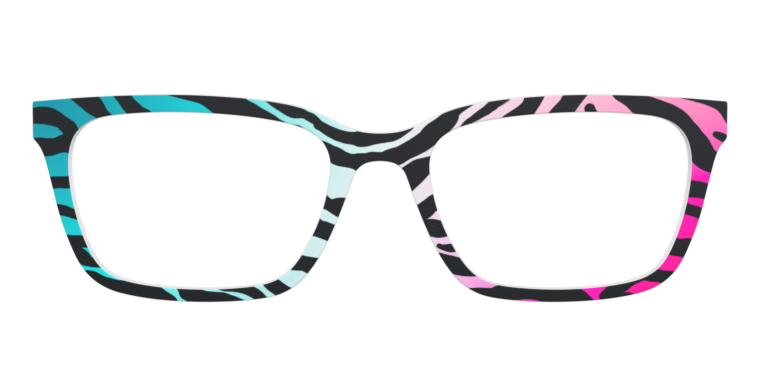 The Rainbow Zebra