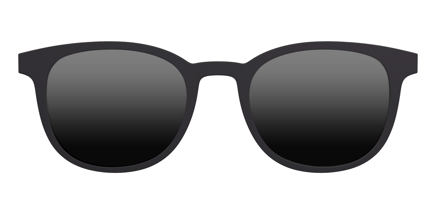 The Polarized Black Sun Top