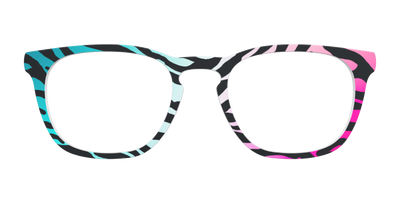 The Rainbow Zebra